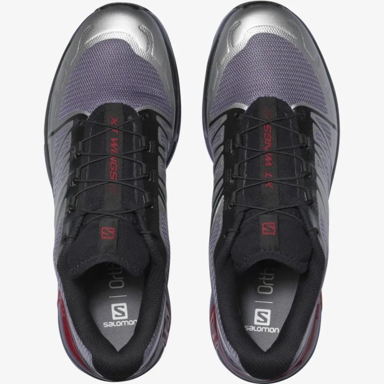 Tenis Salomon Xt-wings 2 Hombre Lavanda Plateados | MX XSYG371